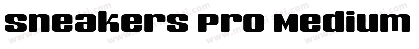 Sneakers Pro Medium Medium字体转换